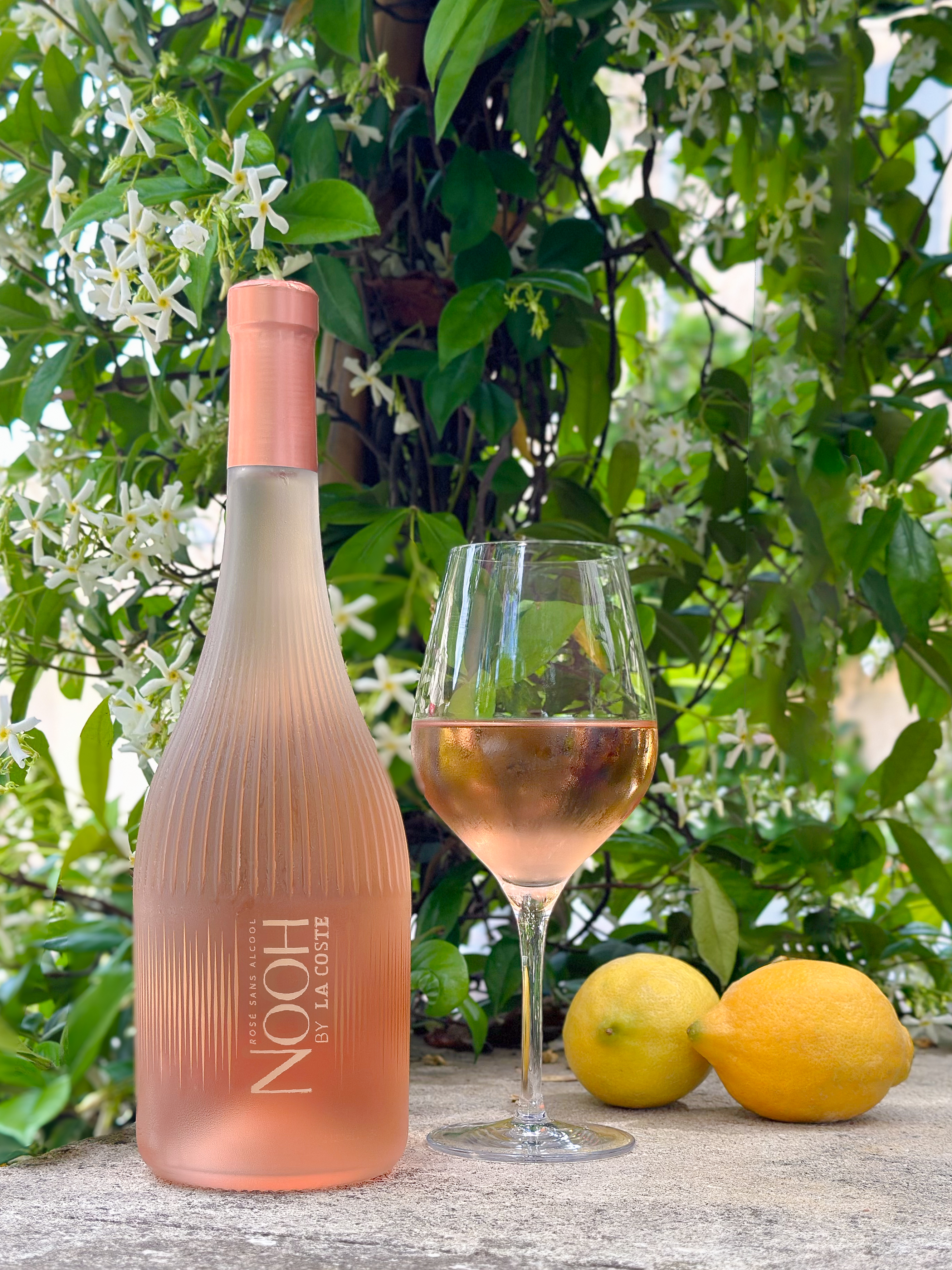 Nooh Rosé Wine | ReserveBar