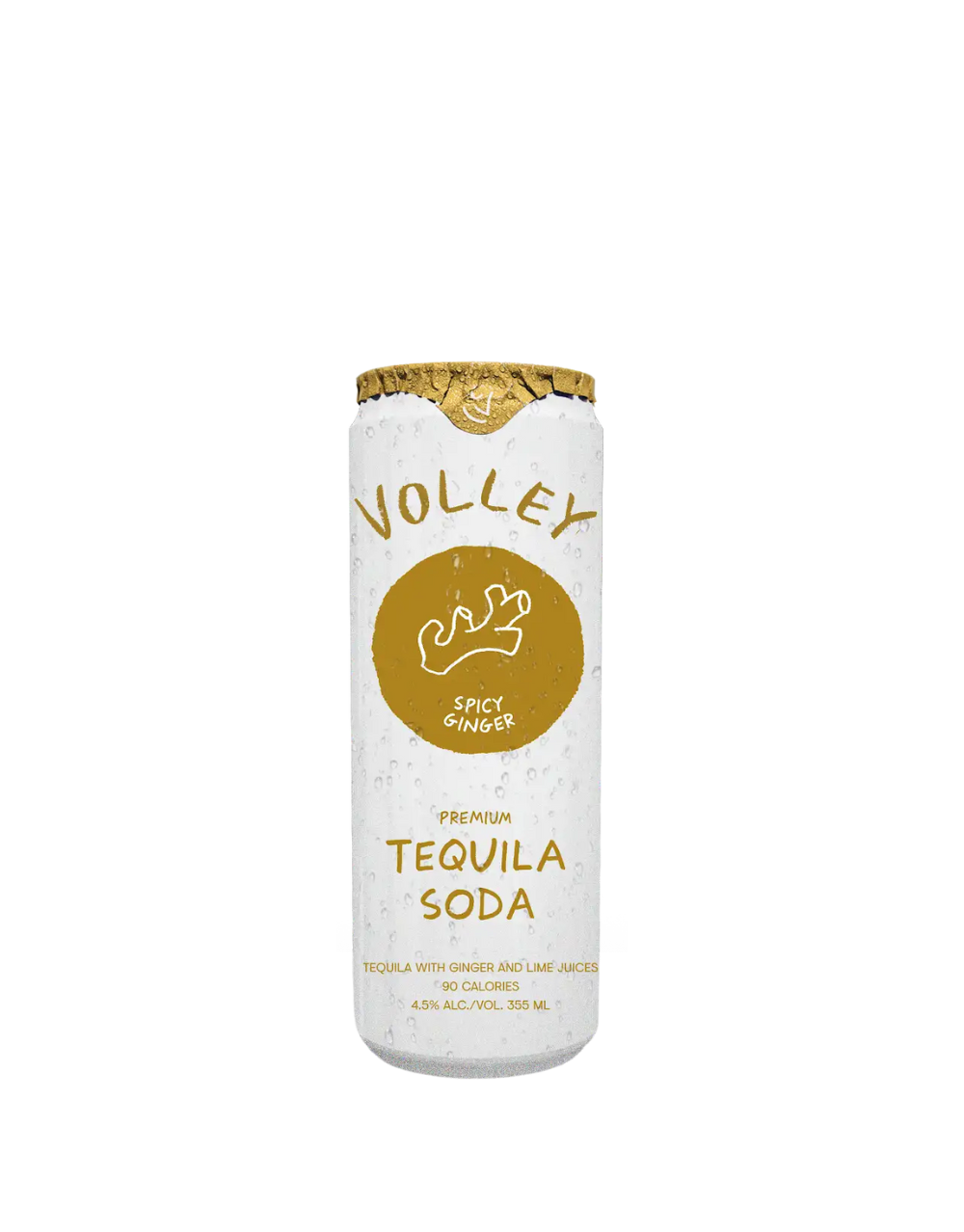 VOLLEY SPICY GINGER TEQUILA SELTZER
