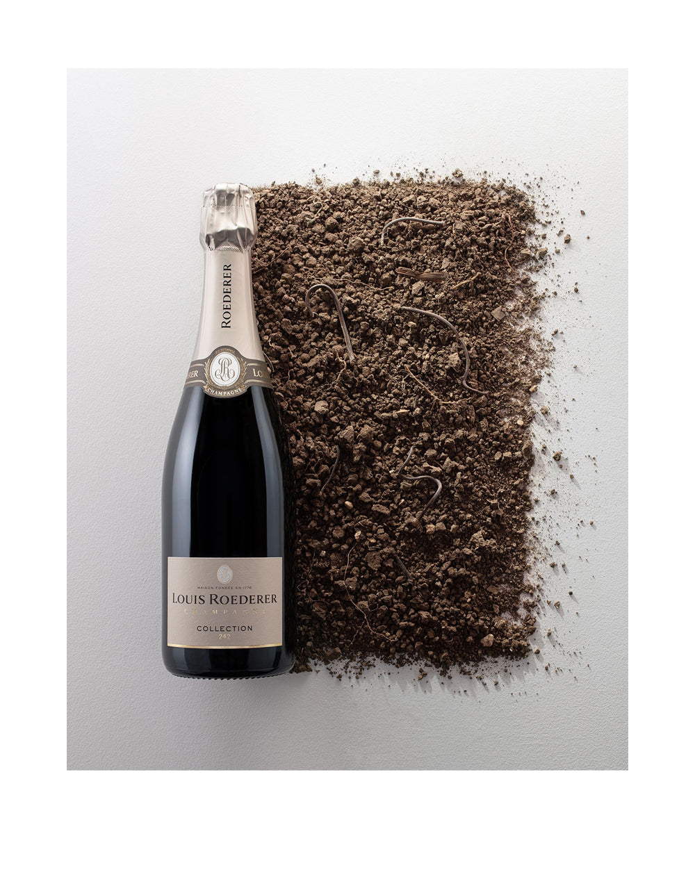 Champagne Louis Roederer Collection 242 | ReserveBar