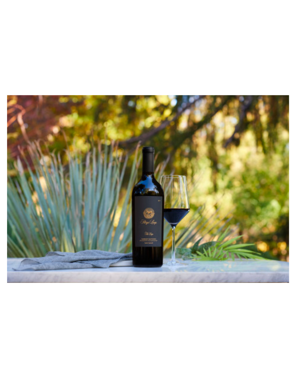 Stags' Leap Winery 'the Leap' Napa Valley Cabernet Sauvignon