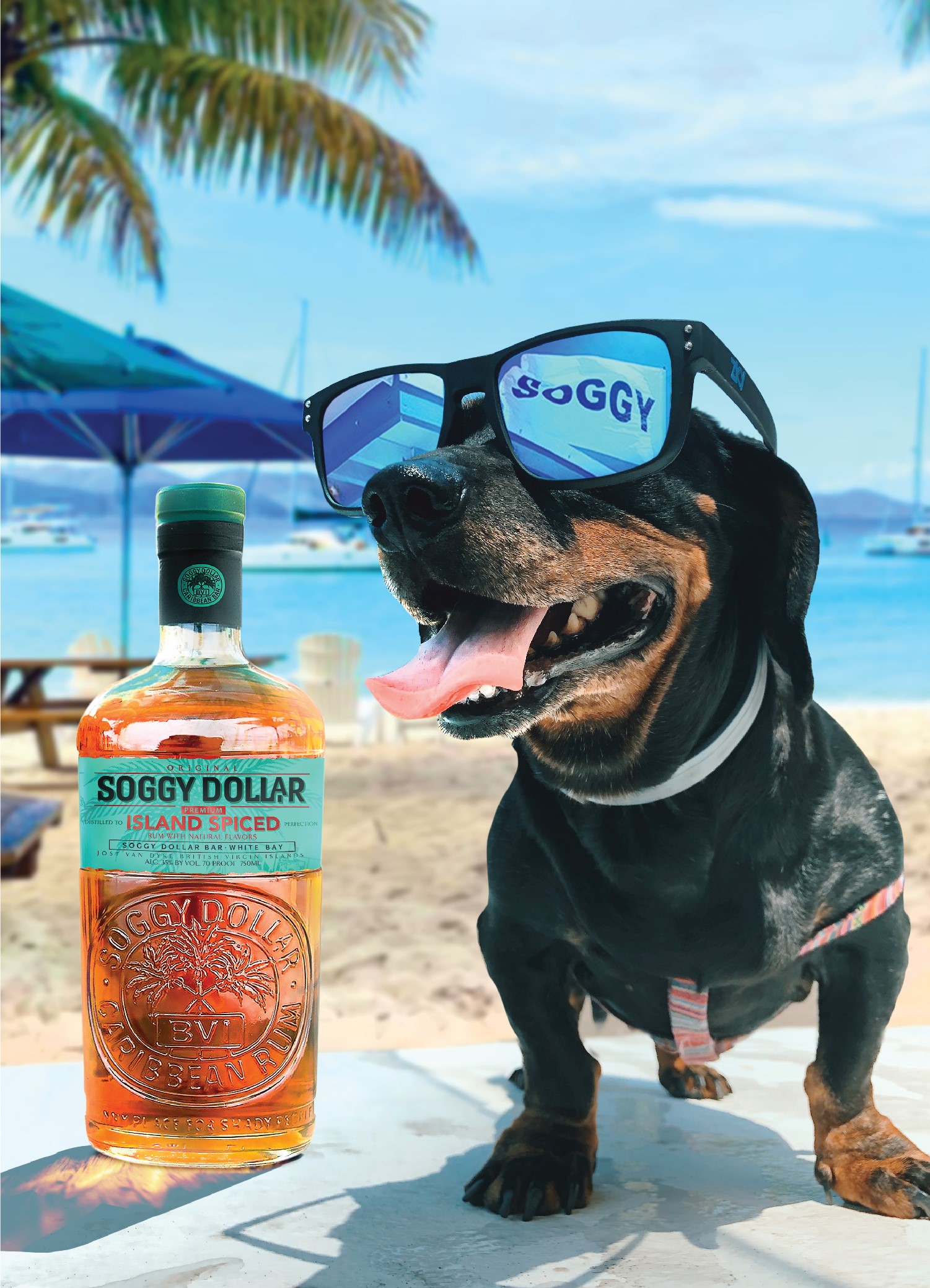 Soggy Dollar Island Spiced Premium Rum | ReserveBar