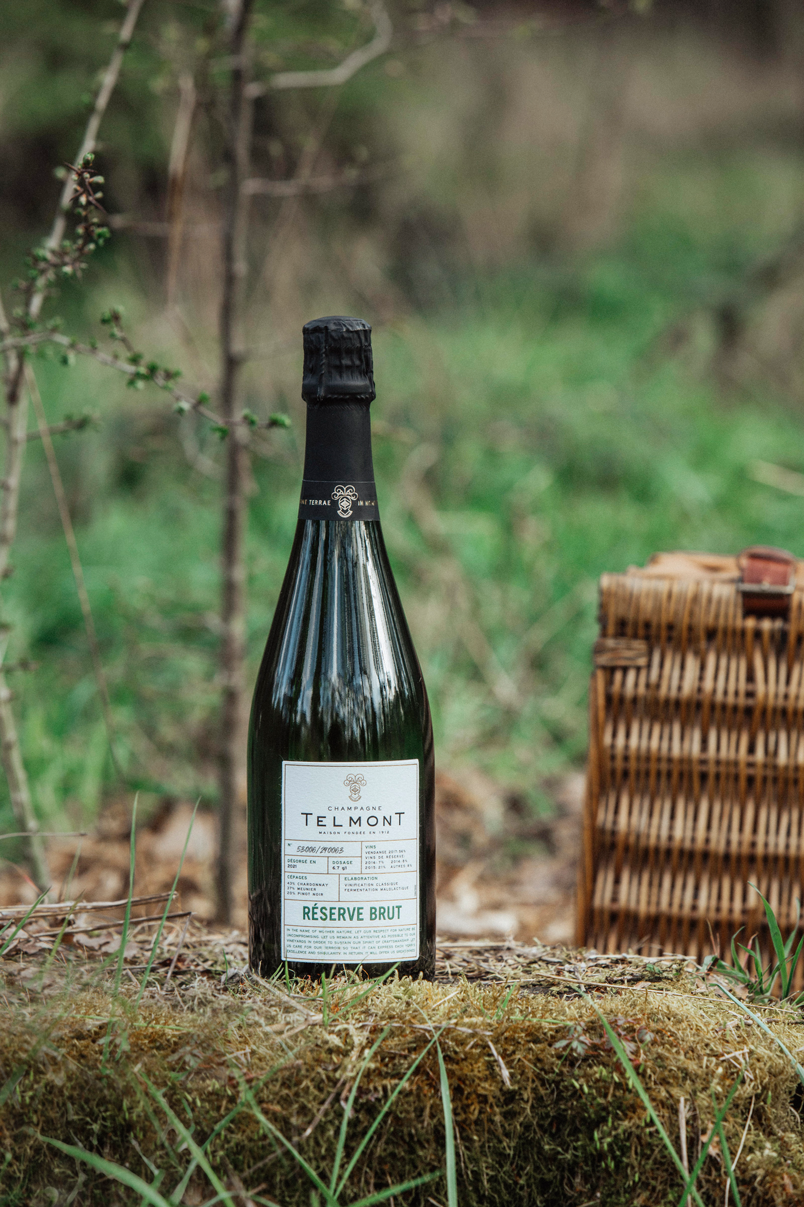 Telmont Champagne Réserve Brut | ReserveBar