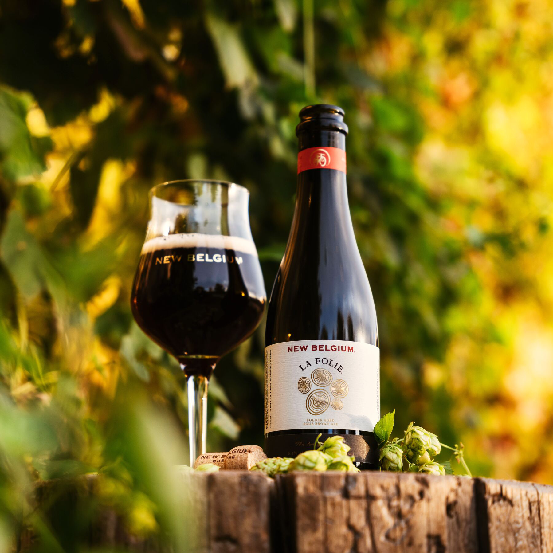 New Belgium Sour Ale Foeder Aged Sour Brown Ale La Folie