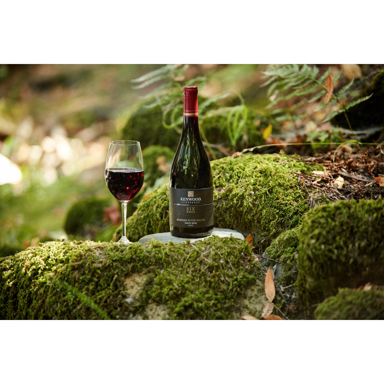 8d599582-49e3-4ee7-9b8e-