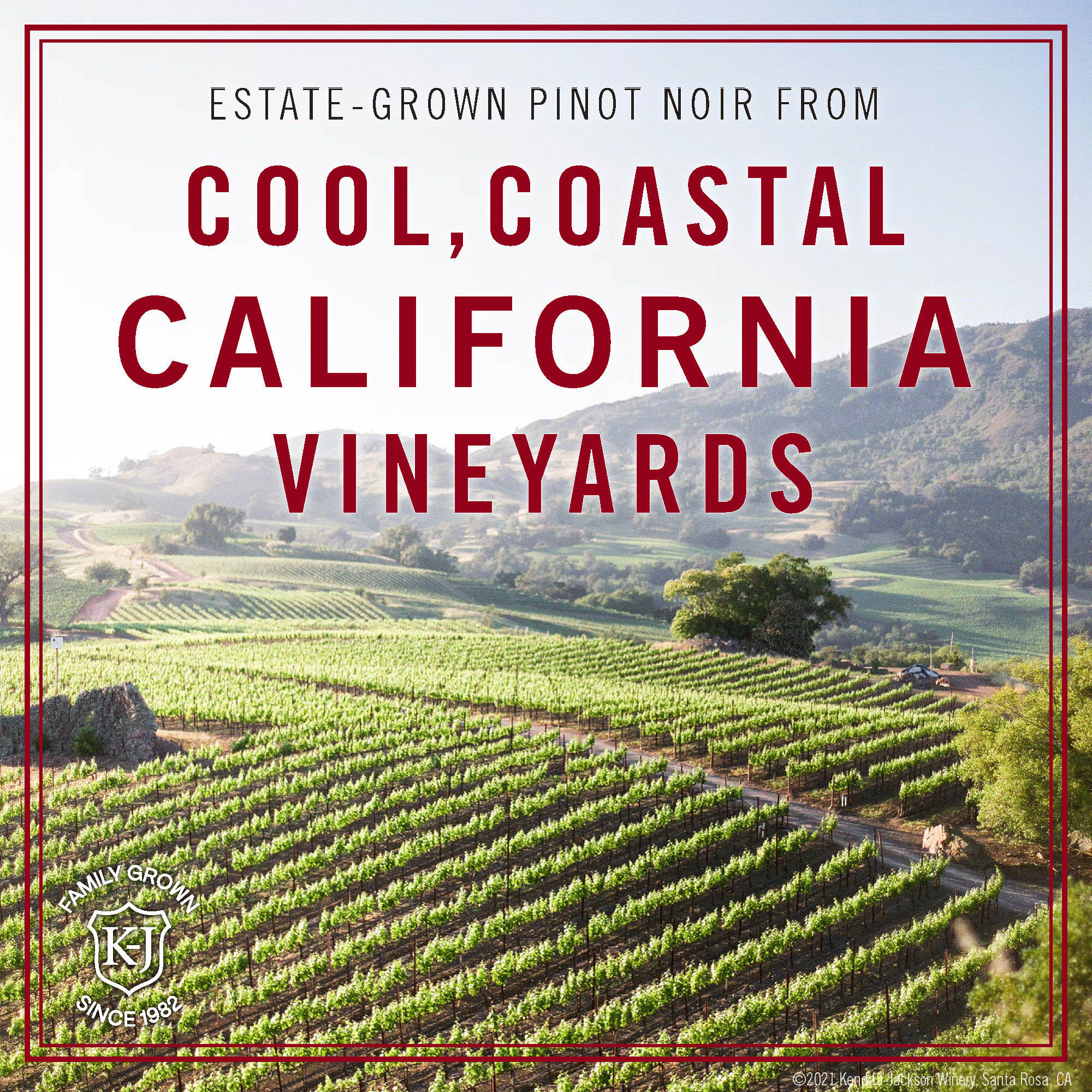 Kendall Jackson Pinot Noir Vintner's Reserve California
