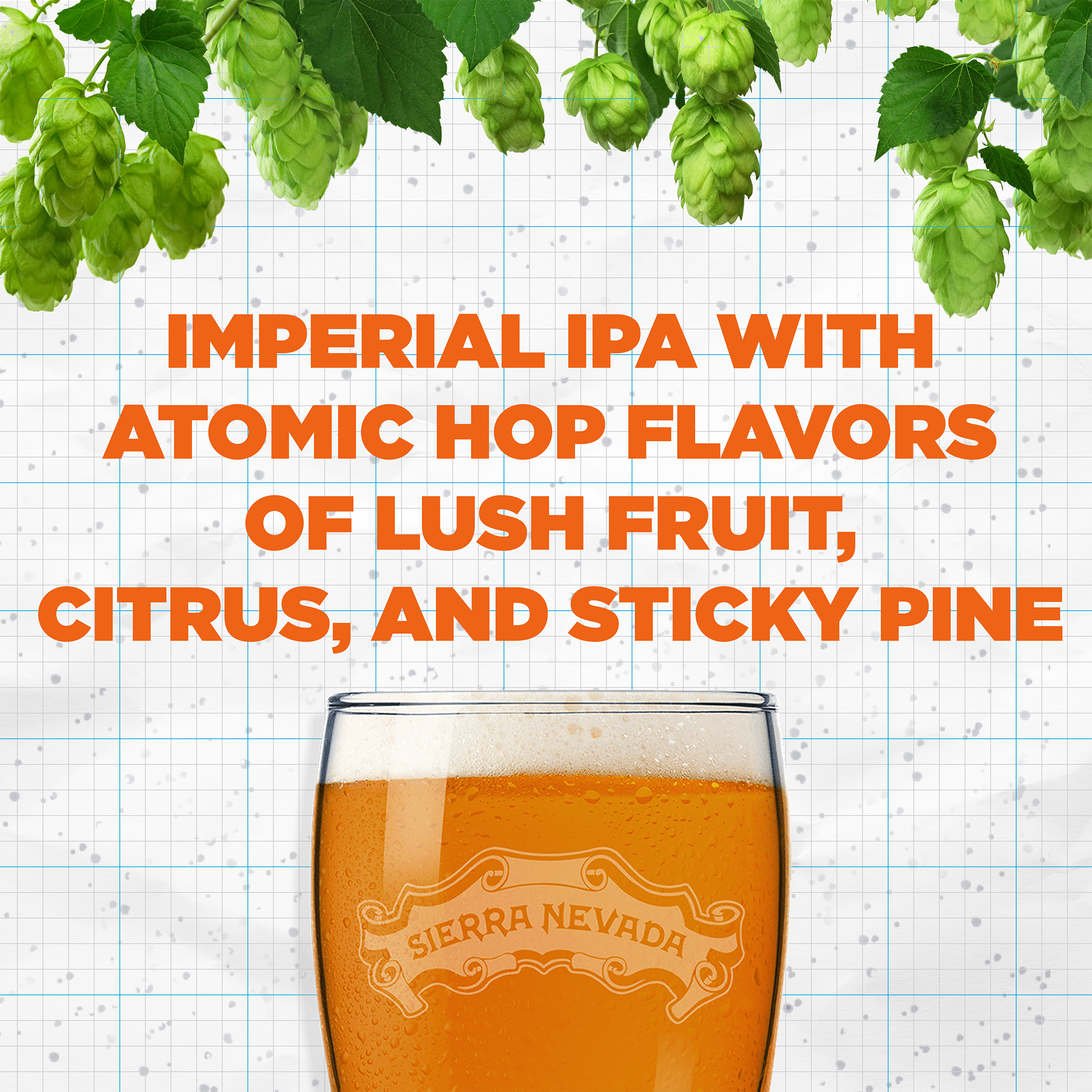 Sierra Nevada Imperial India Pale Ale Atomic Torpedo Juicy West Coast Dipa