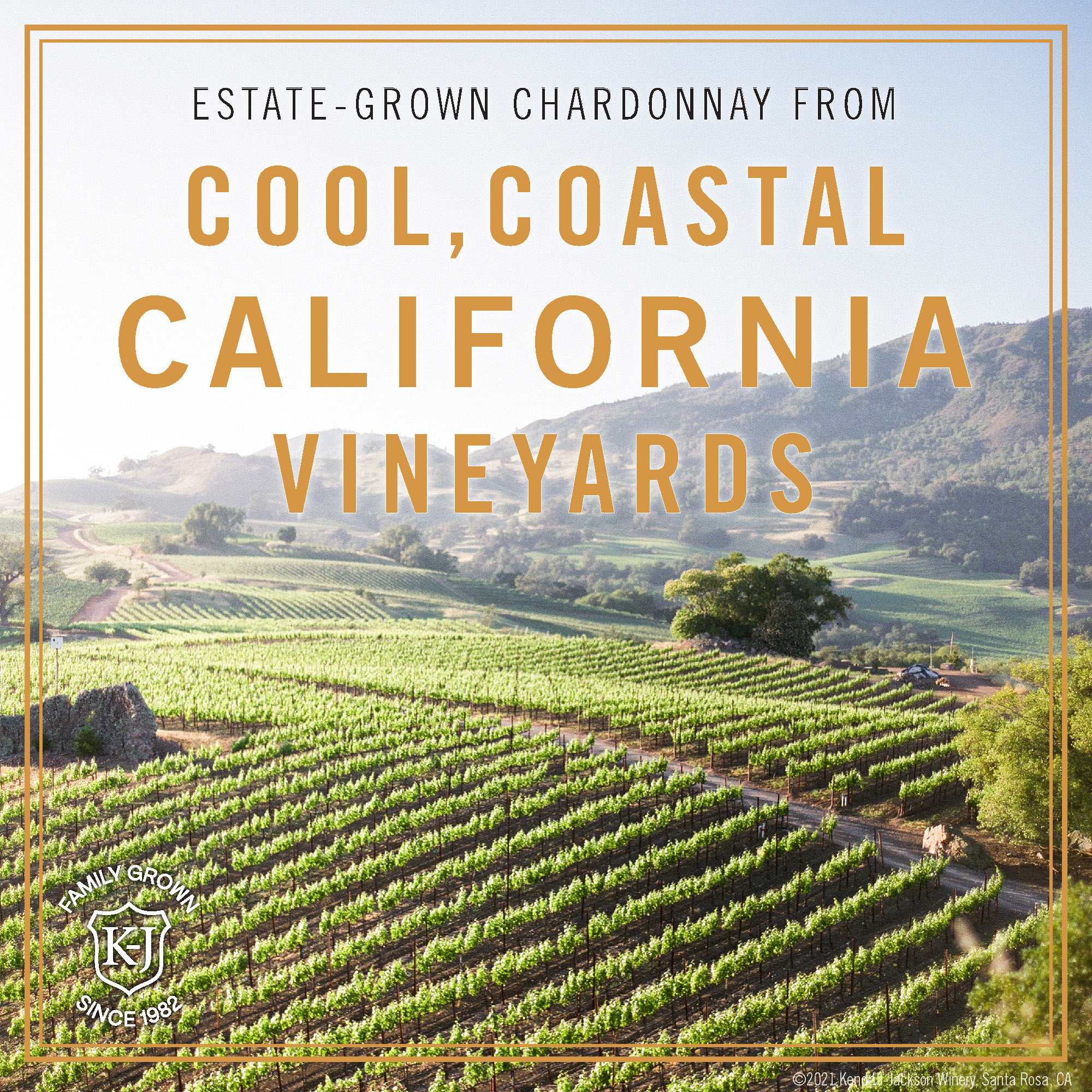 Kendall Jackson Chardonnay Vintner's Reserve California