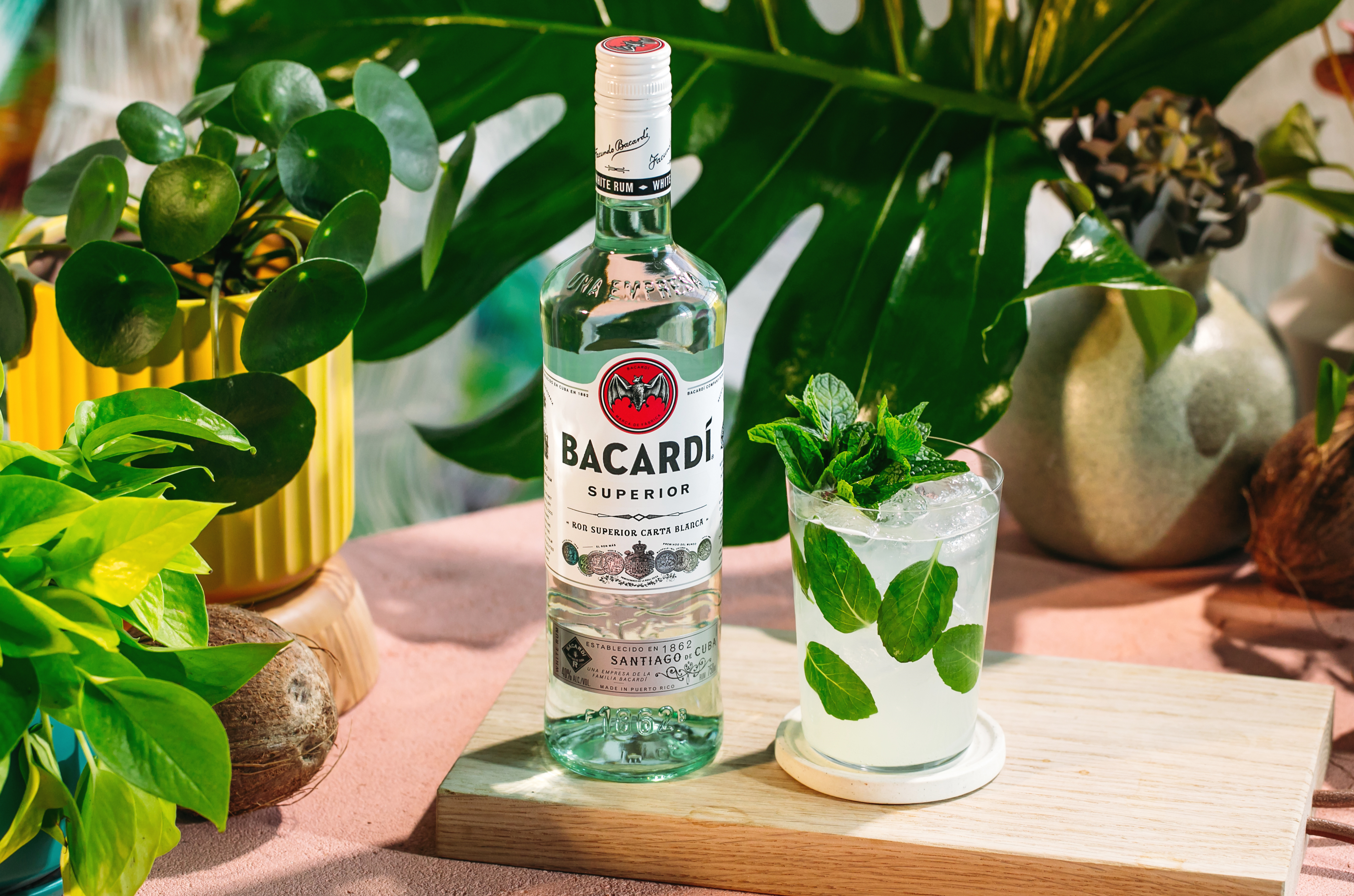 Bacardi X Mtv Vma 2024 Limited Edition Bottle | ReserveBar